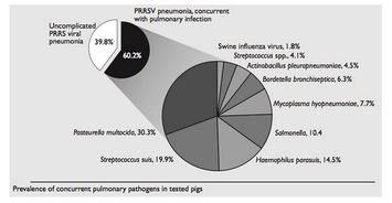 PRRS行業(yè)動(dòng)態(tài)全解析 行情走勢、企業(yè)管理與行業(yè)趨勢